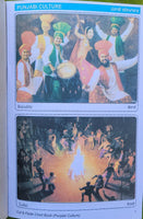 Children cut and paste punjabi culture pictures project chart book young kids ii
