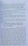 Anjan mahe niranjan pavai by giani jaswant singh parwana punjabi sikh book b67