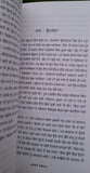 Aakhri babe novel jasbeer mand punjabi literature panjabi akhri baba book mb new