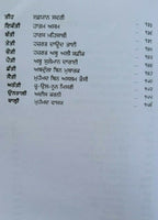 Darveshi gakhri biographies of saints seers by satbir singh punjabi sikh book b4