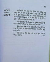 Darveshi gakhri biographies of saints seers by satbir singh punjabi sikh book b4