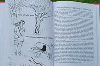 Kids Bed Time Stories Vol-8 Sikh Khalsa Raj Singh Kaur Book English Punjabi MJ