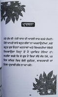 Aarsi autobiography by principal teja singh panjabi literature punjabi book b64