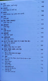Aadh Sikh Te Aadh Sakhia Principal Satbir Singh Punjabi Book Panjabi Story B17
