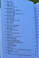 Aadh Sikh Te Aadh Sakhia Principal Satbir Singh Punjabi Book Panjabi Story B17