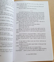 Dhaawan Dilli De Kingrey Novel on Dulla Bhatti Baldev Singh Punjabi Book Sikh MO