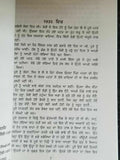 Pinjar Novel Amrita Pritam Punjabi Famous Fiction Panjabi Book Paperback B65 New