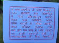 Hindu Shiv Chalisa Evil Eye Protection Shield Good Luck Pocket Book Punjabi HH