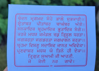 Hindu Shiv Chalisa Evil Eye Protection Shield Good Luck Pocket Book Punjabi HH