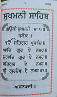 Sikh Sukhmani Bani Gutka Sukhmanee Sahib Punjabi Damdami Taksal Panjabi Book VVV