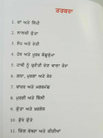 Hans kashukama punjabi reading kids mini story moral book swan foolish tortoise
