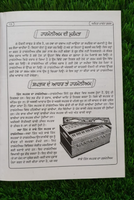 Perfect Harmonium Casio Learning and Teaching Guide Easy Course Punjabi Book MO
