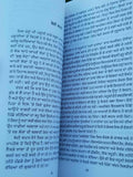 Dooja passa by Dr. Daljit Singh punjabi literature reading essay book b44 - new