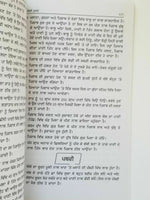 Home remedies desi gharogi nuskhay punjabi book to cure diseases at home new B33