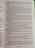 Buddhoo The Idiot Fyodor Dostoyevsky Russian Novel Translated in Punjabi Book MO