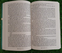 Buddhoo The Idiot Fyodor Dostoyevsky Russian Novel Translated in Punjabi Book MO