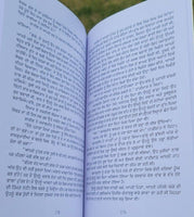 Mera Dagestan Part-2 by Rasul Gamzatov Punjabi Literature Panjabi Book MB New