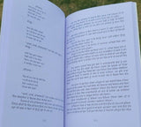 Mera Dagestan Part-2 by Rasul Gamzatov Punjabi Literature Panjabi Book MB New