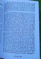 Kossi Dhupp da Nigh Novel Shivcharan Jaggi Kussa Punjabi Literature Book B44 New
