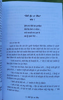 Kossi Dhupp da Nigh Novel Shivcharan Jaggi Kussa Punjabi Literature Book B44 New