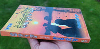 Kossi Dhupp da Nigh Novel Shivcharan Jaggi Kussa Punjabi Literature Book B44 New