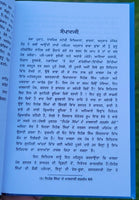 Nihang Singha De Khalsai Gargaj Bolay Daljit Singh Bedi Punjabi Sikh book MC New