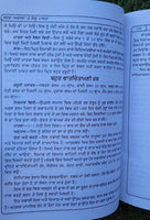 Garab Awastha Pregnancy and Looking after Baby Learning Antique Punjabi Book MC