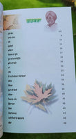 Savay Pattar famous Punjabi poems poetry Prof Mohan Singh Save book panjabi MD