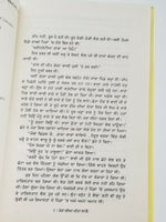 Tera Keea Meetha Laage Novel Punjabi Buta Singh Shaad Panjabi Book Story B18 New
