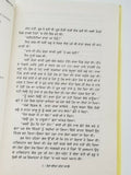 Tera Keea Meetha Laage Novel Punjabi Buta Singh Shaad Panjabi Book Story B18 New