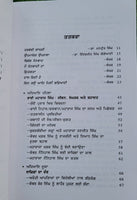 Bhai Maharaj Singh Rajinder Singh Jali Punjabi Gurmukhi Sikh History Book MP New