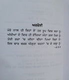 Bhai Maharaj Singh Rajinder Singh Jali Punjabi Gurmukhi Sikh History Book MP New