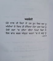 Bhai Maharaj Singh Rajinder Singh Jali Punjabi Gurmukhi Sikh History Book MP New
