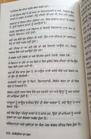 Mombatia da Mela Narinder Singh Kapoor Punjabi Gathering of Lights Book B16 New