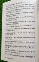 Mombatia da Mela Narinder Singh Kapoor Punjabi Gathering of Lights Book B16 New