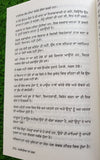 Mombatia da Mela Narinder Singh Kapoor Punjabi Gathering of Lights Book B16 New