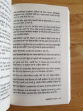 Mombatia da Mela Narinder Singh Kapoor Punjabi Gathering of Lights Book B16 New