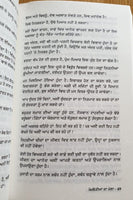 Mombatia da Mela Narinder Singh Kapoor Punjabi Gathering of Lights Book B16 New
