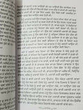 Dhuppan chhavaan narinder singh kapoor punjabi reading literature book b13