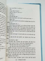 Hai ishq jhna gahra punjabi novel by buta singh shaad kaur panjabi book b17 new
