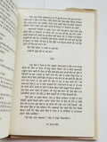 Rohi da Phull Punjabi Fiction Novel Book Buta Singh Shaad Panjabi Story New B17