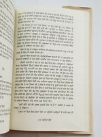 Rohi da Phull Punjabi Fiction Novel Book Buta Singh Shaad Panjabi Story New B17