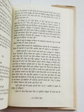 Rohi da Phull Punjabi Fiction Novel Book Buta Singh Shaad Panjabi Story New B17