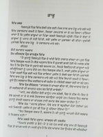 Best stories of jaswant singh kanwal punjabi reading literature panjabi book b47