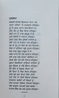 Khooni vaisakhi book nanak singh punjabi reading literature jallianwala bagh ma