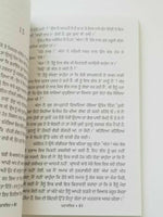 Paraschit novel nanak singh indian punjabi reading panjabi literature book b29