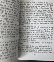 Pathar de khamb novel by nanak singh indian punjabi reading literature book b46