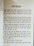 Midhe Hoye Phull Stories by Nanak Singh Punjabi Literature Book B8 Panjabi Gift