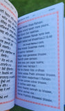 Sikh dukhbhanjani sahib ji gutka evil protection shabads roman english book b33