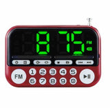 Elderly Sikh Gurbani Radio Player Alarm Clock Nitnem 2574 Tracks Sukhmani path